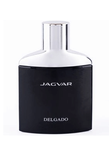 عطر جیبی مردانه آرتینی مدل JAGUAR حجم 35 میلی لیتر