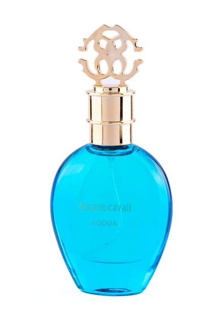 عطر جیبی دلگادو مدل آکوا با رایحه خنک حجم 25 میلی لیتر